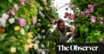 UK’s backyard centres hope sunshine and Chelsea flower present will assist them rebound from the rain
