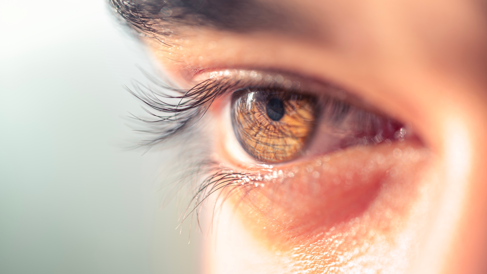 a close-up of a man's brown eye in the sunlight