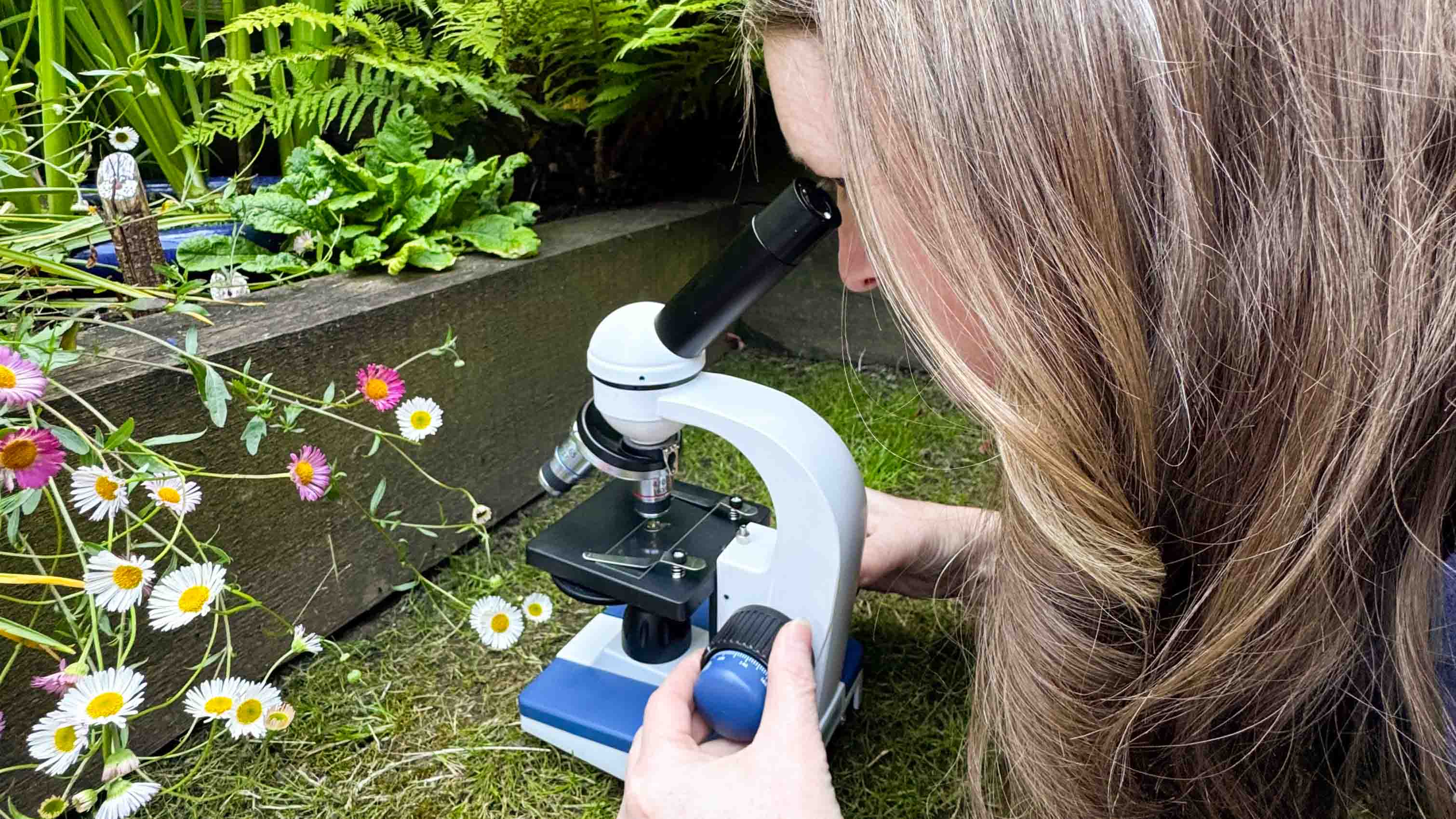 Microscope being used by the author in front of a small pond