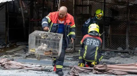 Getty Images A firefighter carries injured chickens in a cage following a fire at a pet market next to Chatuchak market in Bangkok on June 11, 2024