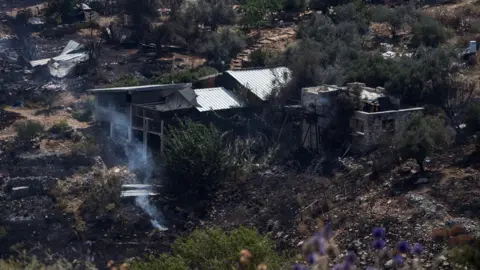 Reuters Fire-damaged property and land following a Hezbollah rocket strike in northern Israel (12 June 2024)