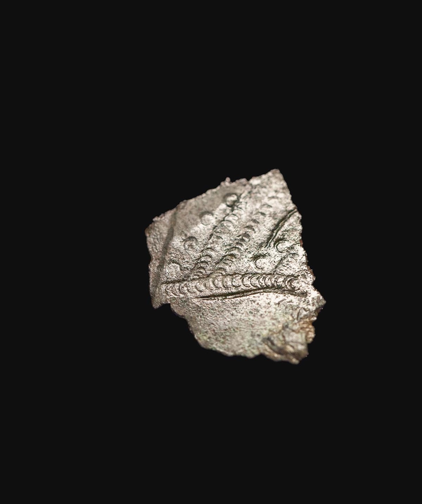 A fragment of the Bromeswell bucket