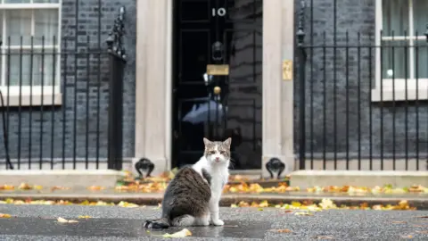 PA Larry the cat in front of Downing Street