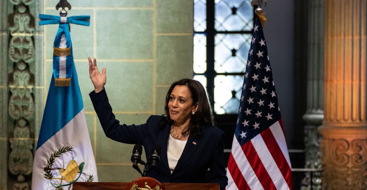 Kamala Harris and the border The parable and the info RawNews