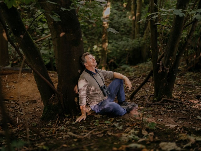 man in jeans and jumper sits on the ground against a tree trunk and looks up at the branches above