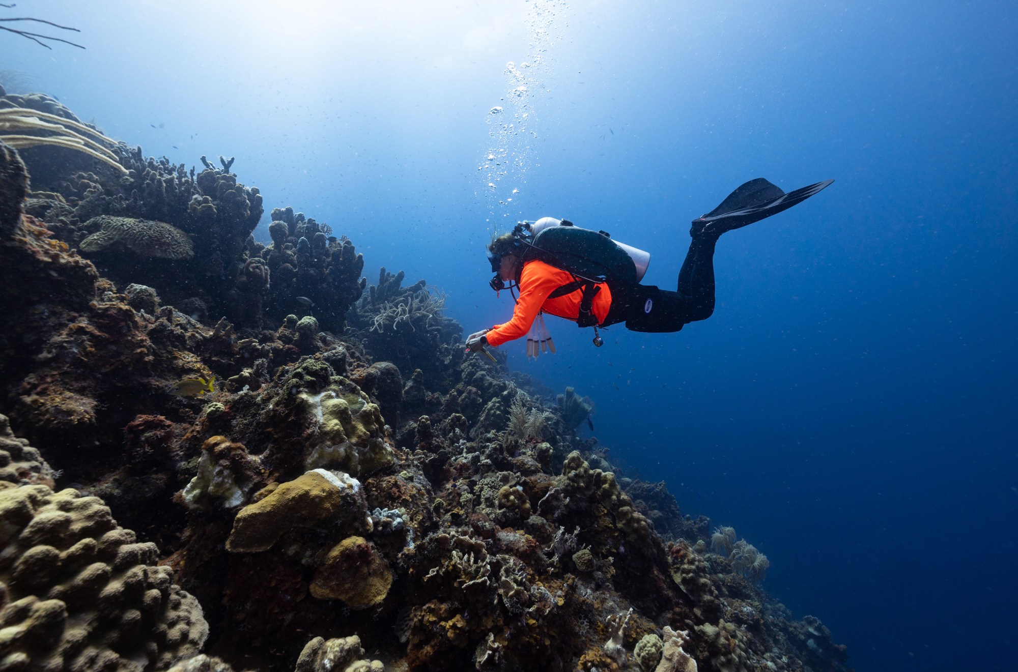 Dive instructor and educator Carmen Toanchina on a dive to treat corals with SCTLD.