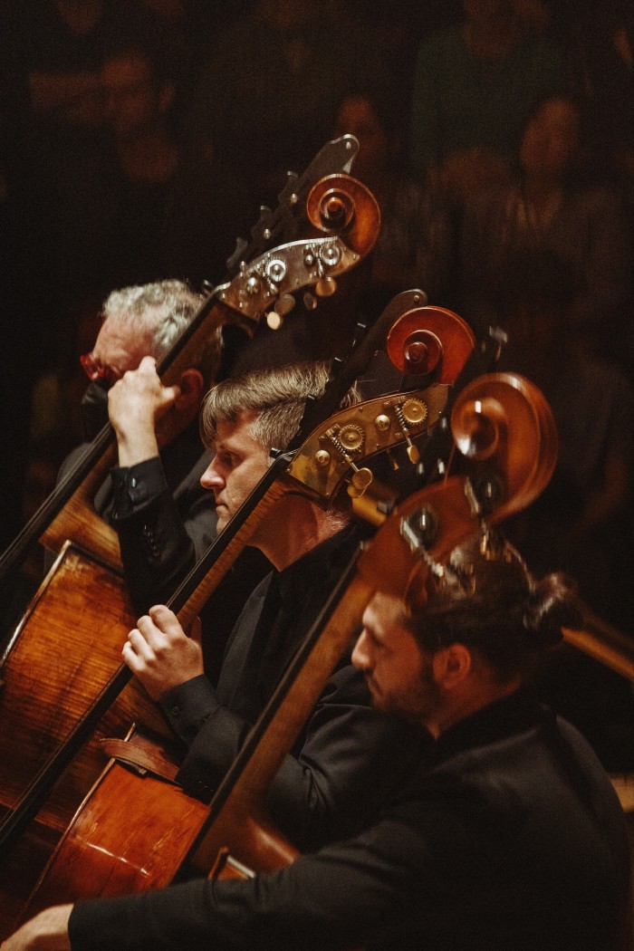 Profile view of double basses being played