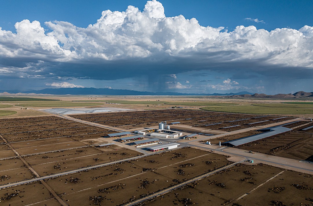 An aerial photo of a massive dairy farm in Arizona that confines thousands of cows.