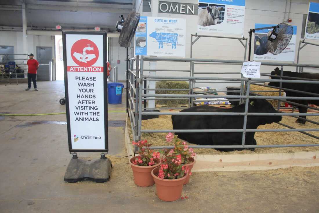 Indiana’s state fair has signs posted reminding visitors to wash their hands after visiting the cattle barn.