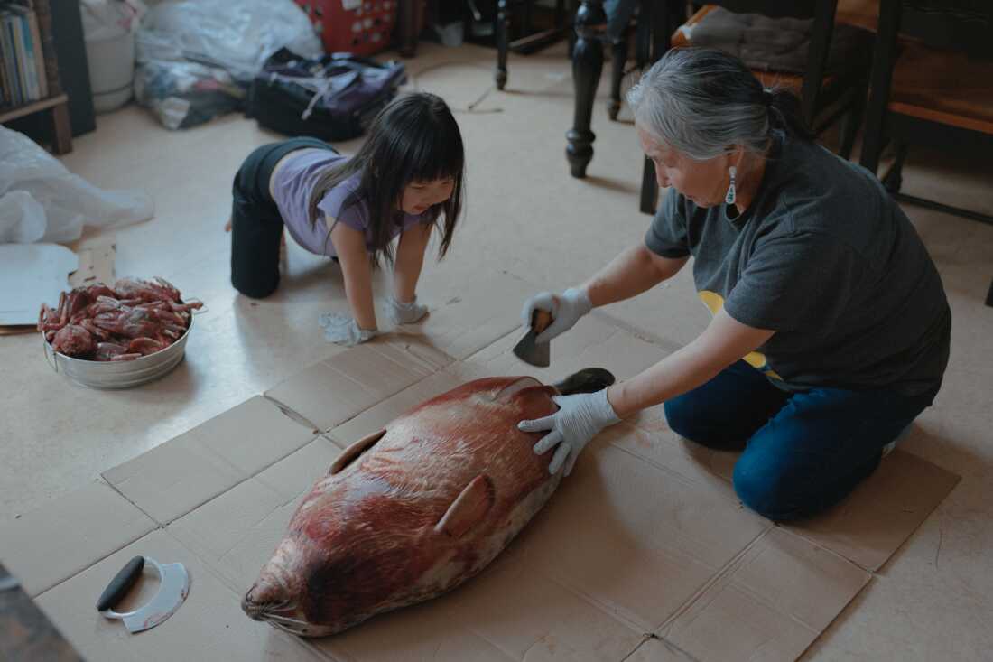 Panik John, 65, (right) teaches her granddaughter Bernadette Wiseman, 6, (left) how to process a baby seal using a traditional Uluaq knife at their home in Toksook Bay, Alaska. Panik and her husband Simeon lead CANHR’s programs and research projects in Toksook Bay, including Qungasvik. “The hope that I have for the future is in the youth utilizing what they’ve learned and passing on the culture”, says John. “It’s our identity, and we don’t want to lose that.”