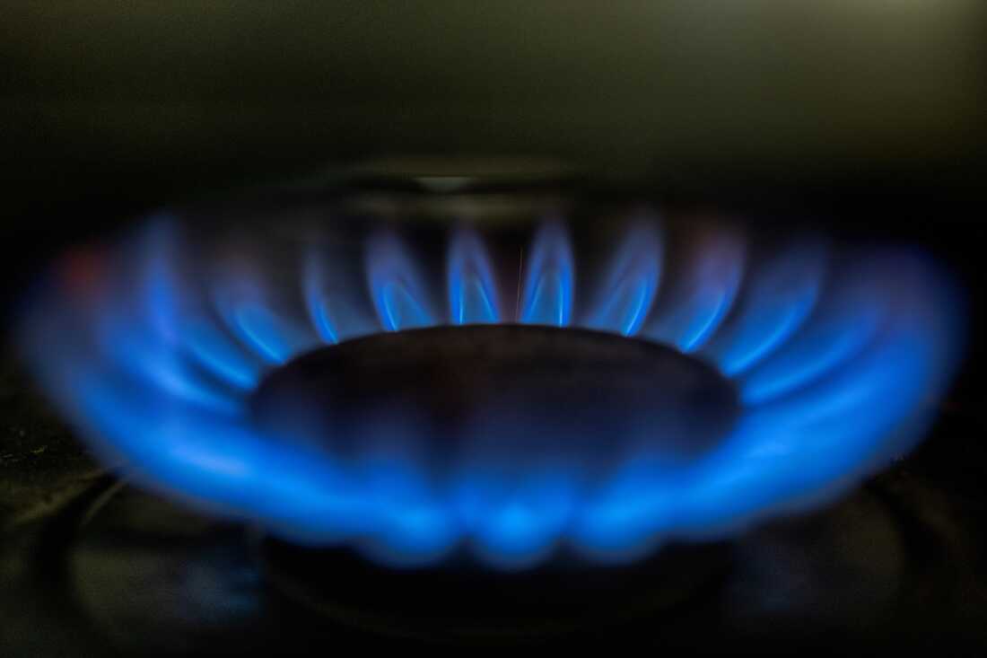 This photo shows gas-lit blue flames burning in a circle around a burner on a natural gas stove.