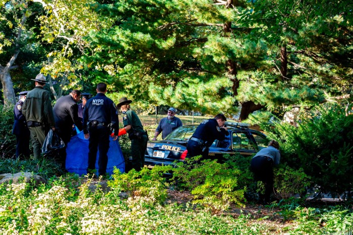 Police search through bushes and trees in a park 