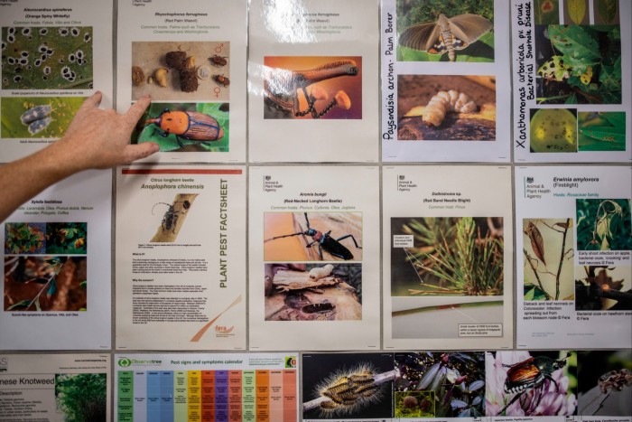 Laminated pages listing different plant pests so staff at Provender Nurseries know what to look out for