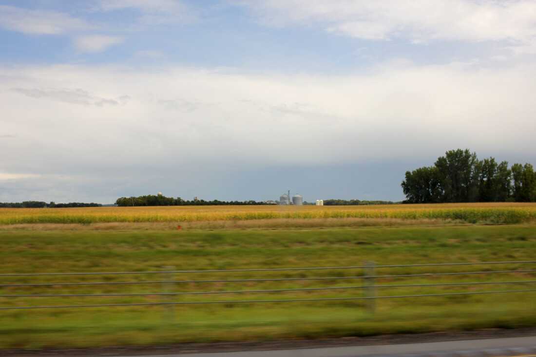 A field in Iowa, a scene on the long drive to Minneapolis for Veronica and her mom, Emily. The picture shows a wide expanse of yellowish grass, and a blue sky with fluffy clouds. 