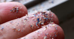 Microplastics discovered within the human mind