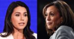 ‘Caught off guard’: How Tulsi Gabbard’s large second with Harris is enjoying into Tuesday’s debate