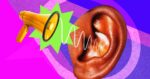 7 Issues Ear Medical doctors By no means, Ever Do