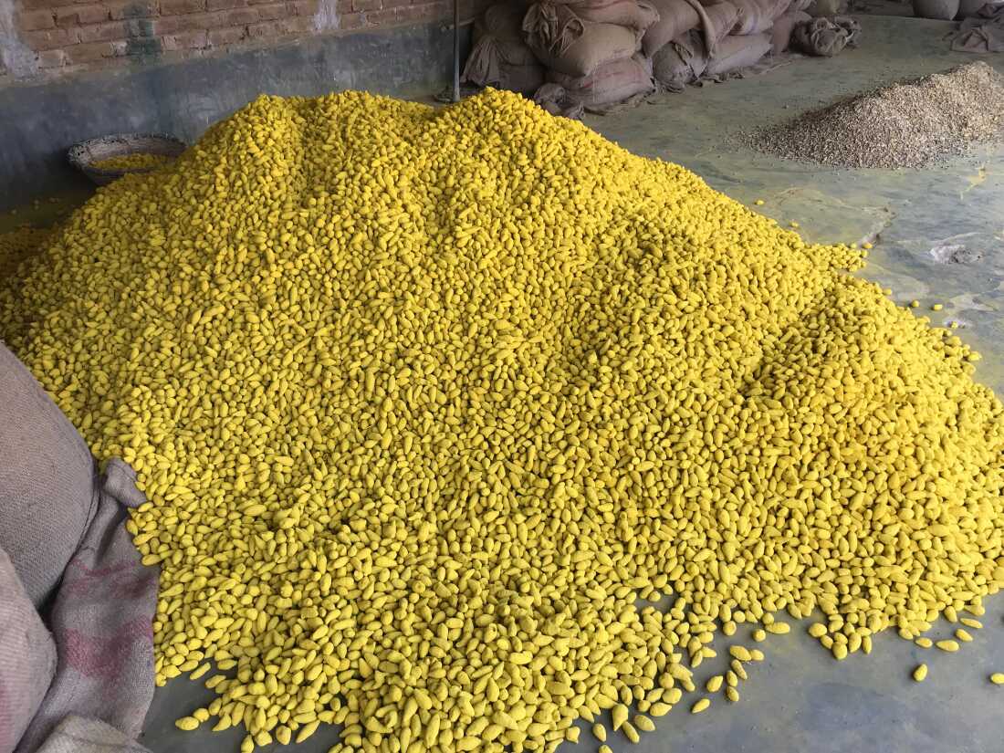 Turmeric roots in Bangladesh colored with lead chromate to achieve a desirable yellow hue.