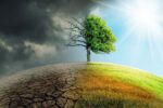 Skilled survey unveils underestimated well being impacts of climate and local weather on mortality