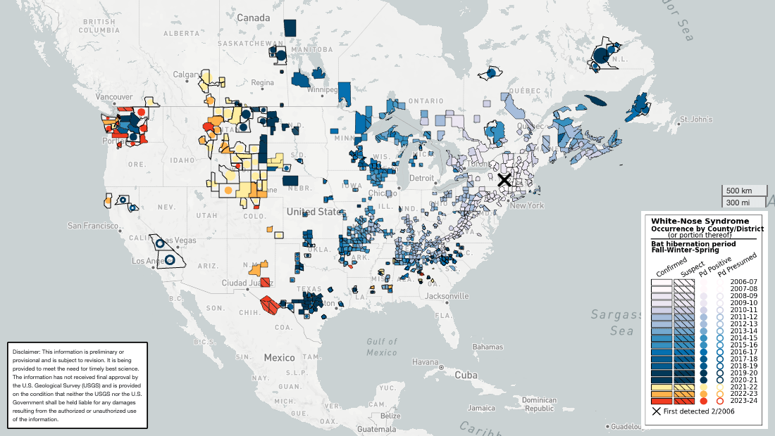 A color-coded map shows white nose syndrome advancing west from the East Coast year by year in the US.