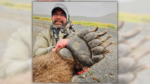 Photograph Reveals True Measurement of Bear’s Paw In comparison with Human?