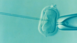 Child Born in 2017 from Embryo Initially Frozen in 1992?