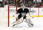 Forgotten Penguins Gamers: Tomas Vokoun