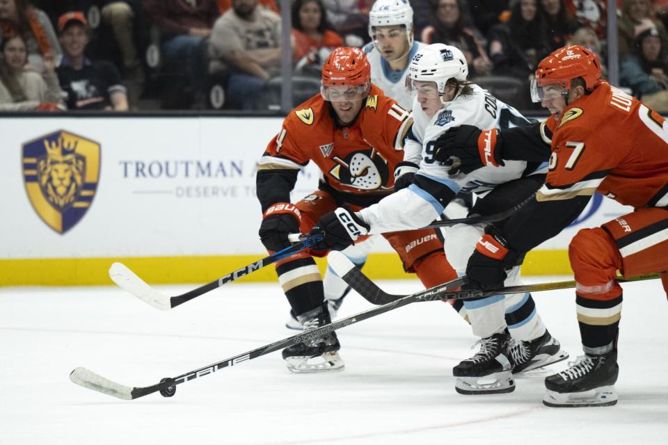 Cam Fowler, left, and Tristan Luneau of the Ducks fight for the puck with Utah's Logan Cooley.