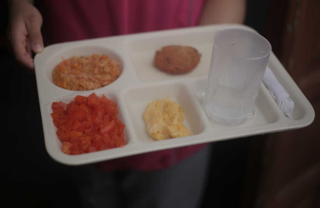 This photo shows a tray divided into sections, each containing an item from a meal that Tomás got at the government-subsidized day care he attends: rice, egg, papaya cut into small pieces, a protein patty, a glass of water and silverware wrapped in a napkin.