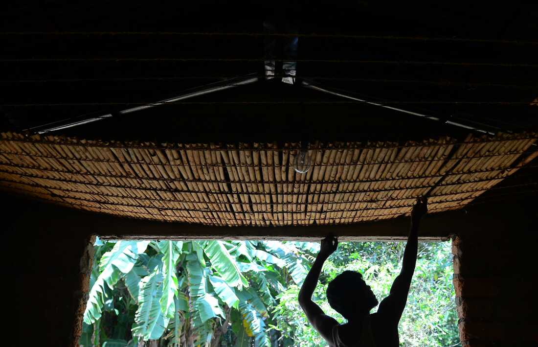 A Sri Lankan worker dries cinnamon quills hanging from the ceiling at a peeling center in the Hikkaduwa region.