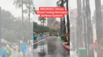 Disney World Testing Out Hurricane Protection System?