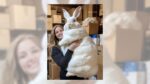 Video Authentically Reveals Lady Holding Big White Rabbit?