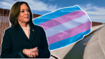 Sure, Harris As soon as Supported Undocumented Immigrants in Custody Accessing Gender-Affirming Surgical procedures