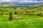 How To Move To Ireland: An Advice Guide For Americans