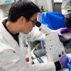 Dr. Benjamin Jin, a biologist, works on immunotherapy for HPV+ cancers, in a lab at the National Cancer Institute at the National Institutes of Health (NIH) in Bethesda, Md. in 2018. The NIH funds research into cancer treatments among many other diseases. Experimental trials are ongoing at the National Institutes of Health Clinical Center, a US government-funded research hospital where doctors are trying to partially replace patients' immune systems with T-cells that would specifically attack cancers caused by the human papillomavirus (HPV), a common sexually transmitted infection. A person's T-cells will naturally try to kill off any invader, including cancer, but usually fall short because tumors can mutate, hide, or simply overpower the immune system. Immunotherapies that have seen widespread success, such as chimeric antigen receptor (CAR-T) cell therapies, mainly target blood cancers like lymphoma, myeloma and leukemia, which have a tumor antigen -- like a flag or a signal -- on the surface of the cells so it is easy for immune cells to find and target the harmful cells. But many common cancers lack this clear, surface signal. Hinrichs' approach focuses on HPV tumors because they contain viral antigens that the immune system can easily recognize.