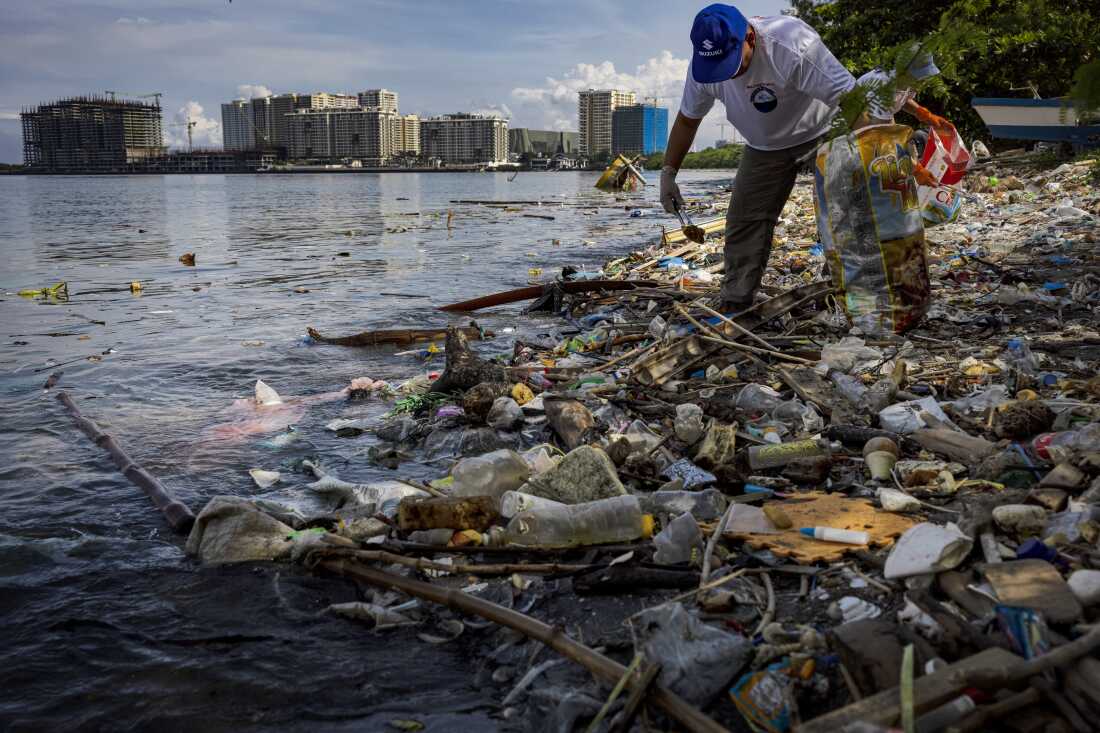 A volunteer collects plastic waste that washed up on the shores and mangroves in the Philippines.