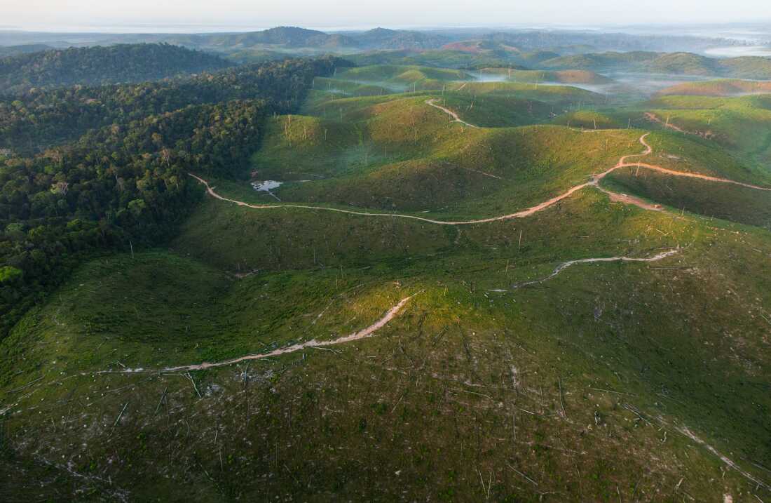 George Steinmetz