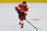 Like many earlier than him, veteran Nate Schmidt having fun with resurgence with Florida Panthers