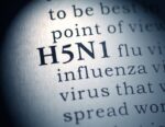 Superior diagnostic package developed for detecting extremely pathogenic H5N1 avian influenza virus