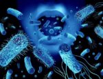 WHO and companions announce grants to spice up pathogen genomic surveillance