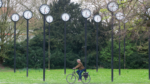 Why Most of US ‘Falls Again’ for Daylight Saving Time