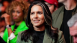 Trump’s Director of Nationwide Intelligence Appointee Tulsi Gabbard Is on Terror Watchlist?