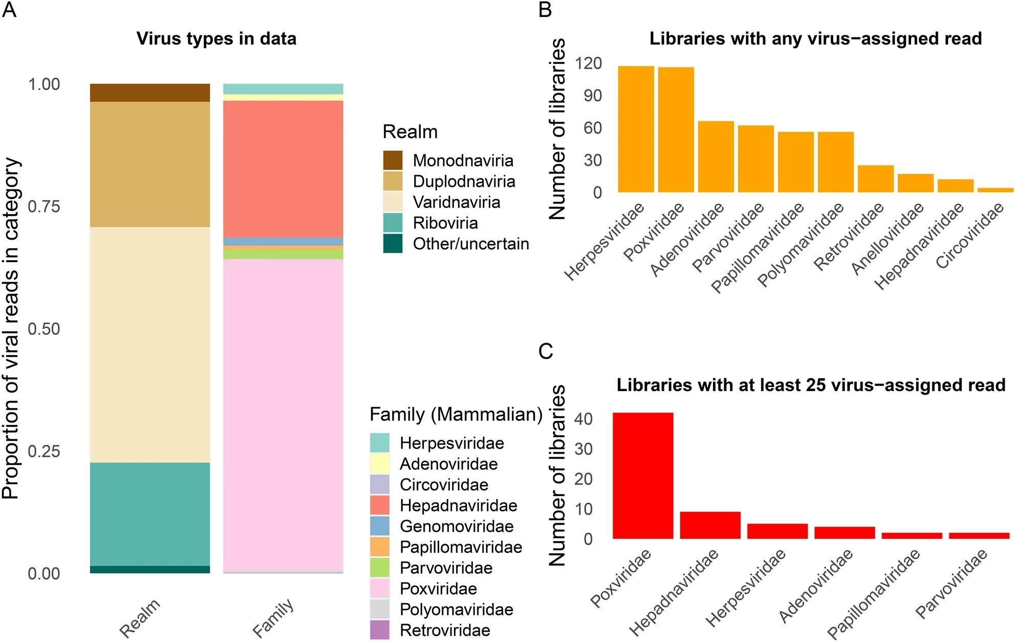 Summaries of reads assigned to different virus domains and families. (A) Proportion of virus-assigned reads based on kraken2 across 214 libraries, stratified by realm and by family (for DNA viruses and Retroviridae). (B) Number of libraries with any read assigned to virus families. (C) Number of libraries with at least 25 reads assigned to virus families.