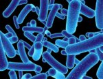 Researchers employ innovative strategies to uncover hidden bioactive compounds within bacteria.